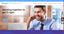 Desktop Screenshot of briskon.com